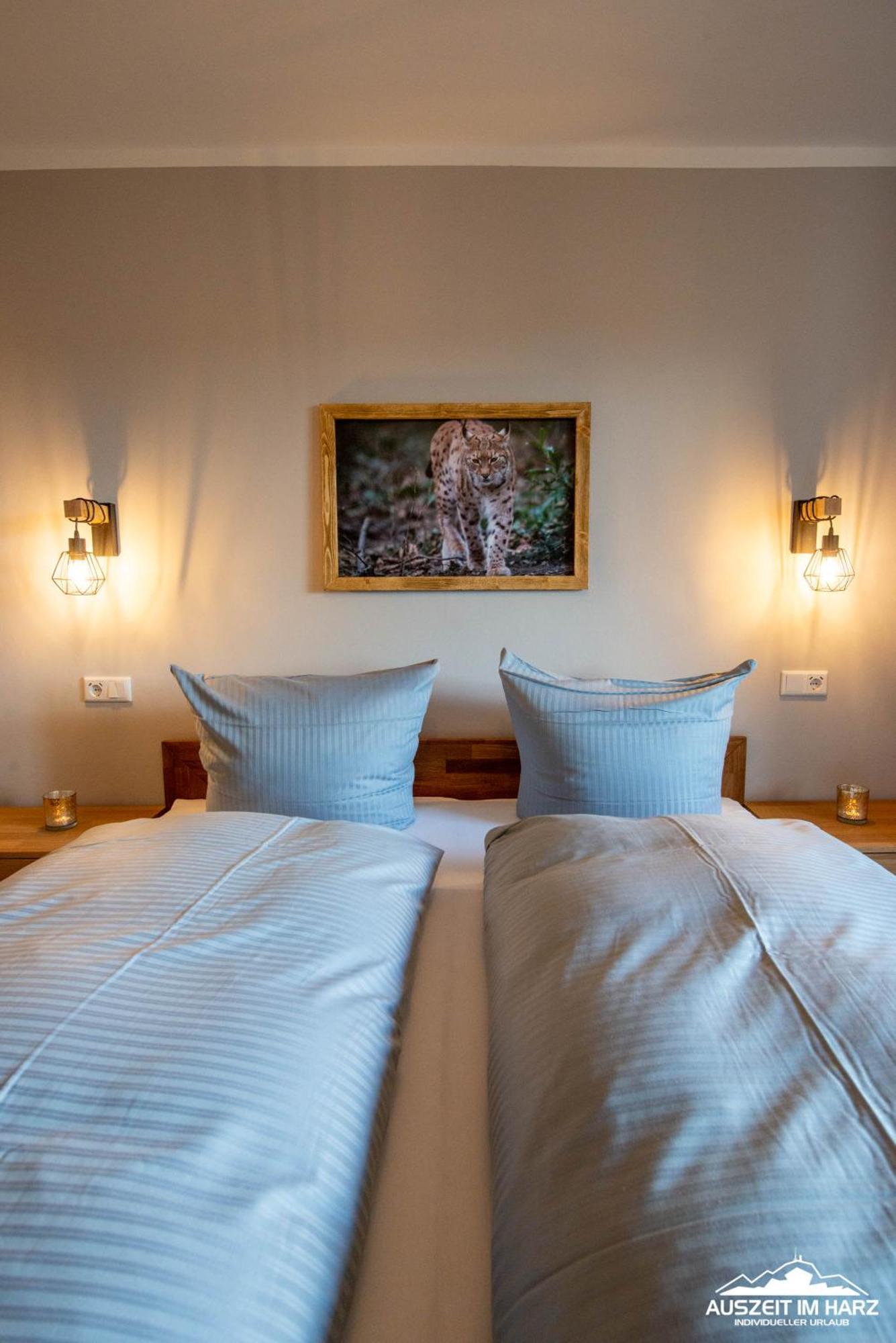Auszeit-Im-Harz Haus 3 Wohnung 3 Braunlage Bagian luar foto
